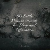 50 Settle Nature Sounds for Sleep and Relaxation