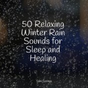 50 Relaxing Winter Rain Sounds for Sleep and Healing