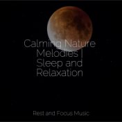 Calming Nature Melodies | Sleep and Relaxation