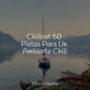 Chillout 50 Pistas Para Un Ambiente Chill