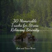 30 Memorable Tracks for Stress Relieving Serenity