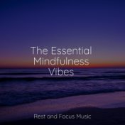The Essential Mindfulness Vibes