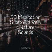 50 Meditation Sleep Aid Rain & Nature Sounds