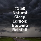 #1 50 Natural Sleep Edition: Blowing Rainfall