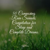 50 Composing Rain Sounds, Compilation for Sleep and Complete Dreams