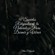 50 Sonidos Relajantes de la Naturaleza Para Dormir y Vibrar