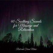 40 Soothing Sounds for Massage and Relaxation