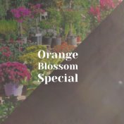 Orange Blossom Special