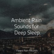 Ambient Rain Sounds for Deep Sleep