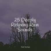 25 Deeply Relaxing Rain Sounds