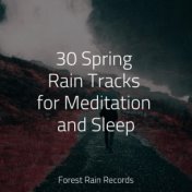 30 Spring Rain Tracks for Meditation and Sleep