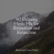 40 Relaxing Music Mix for Relaxation and Relaxation