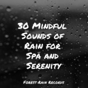 30 Mindful Sounds of Rain for Spa and Serenity