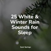 25 White & Winter Rain Sounds for Sleep
