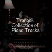 Tranquil Collection of Piano Tracks