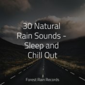 30 Natural Rain Sounds - Sleep and Chill Out