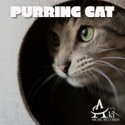 Purring Cat