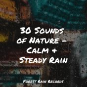 30 Sounds of Nature - Calm & Steady Rain