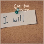 Can You Forget