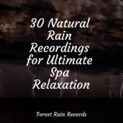 30 Natural Rain Recordings for Ultimate Spa Relaxation
