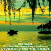 Stranger On The Shore