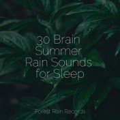 30 Brain Summer Rain Sounds for Sleep