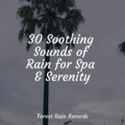 30 Soothing Sounds of Rain for Spa & Serenity