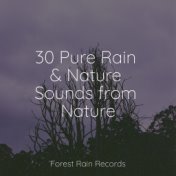 30 Pure Rain & Nature Sounds from Nature