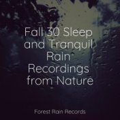 Fall 30 Sleep and Tranquil Rain Recordings from Nature