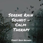 Serene Rain Sounds - Calm Therapy