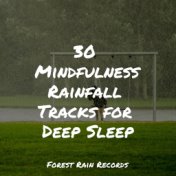 30 Mindfulness Rainfall Tracks for Deep Sleep