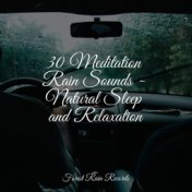30 Meditation Rain Sounds - Natural Sleep and Relaxation