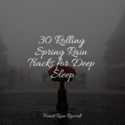 30 Rolling Spring Rain Tracks for Deep Sleep