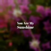 You Are My Sunshine