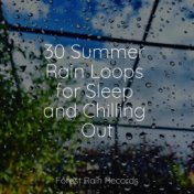 30 Summer Rain Loops for Sleep and Chilling Out