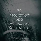 30 Meditation Spa Relaxation Rain Sounds
