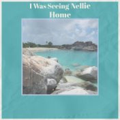 I Was Seeing Nellie Home