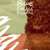 Blue Grass Breakdown