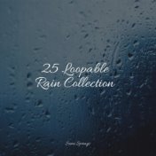 25 Loopable Rain Collection