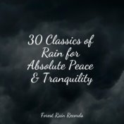 30 Classics of Rain for Absolute Peace & Tranquility