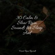 30 Calm & Slow Rain Sounds for Sleep Aid