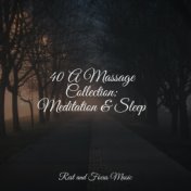 40 A Massage Collection: Meditation & Sleep