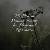 25 Ultimate Nature Sounds for Sleep and Relaxation