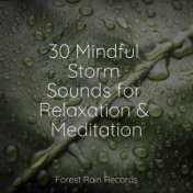 30 Mindful Storm Sounds for Relaxation & Meditation