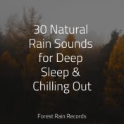 30 Natural Rain Sounds for Deep Sleep & Chilling Out
