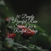 30 Deeply Peaceful Rain Sounds for a Restful Sleep
