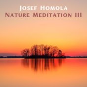 Nature Meditation III