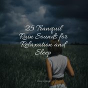 25 Tranquil Rain Sounds for Relaxation and Sleep
