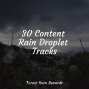 30 Content Rain Droplet Tracks