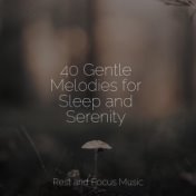 40 Gentle Melodies for Sleep and Serenity